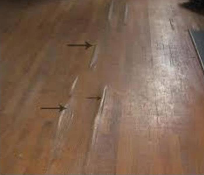 Water Damage Wood Flooring